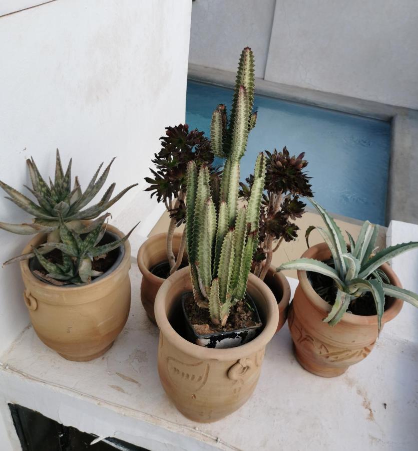 Riad Bab Aylen - Piscine Roof Top Chauffee Marrakesh Ngoại thất bức ảnh