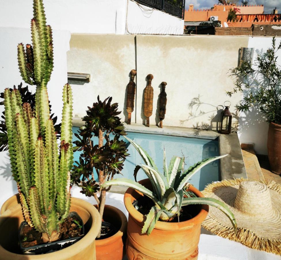 Riad Bab Aylen - Piscine Roof Top Chauffee Marrakesh Ngoại thất bức ảnh